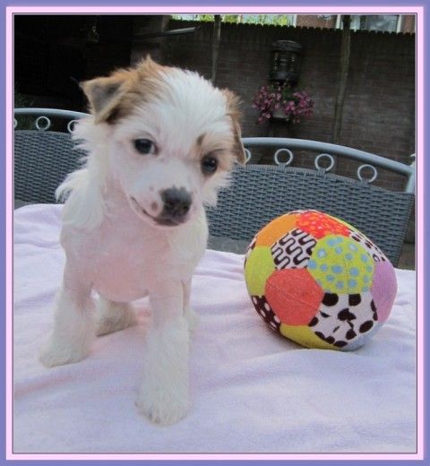 Typical Taira Of Gizzy's Home