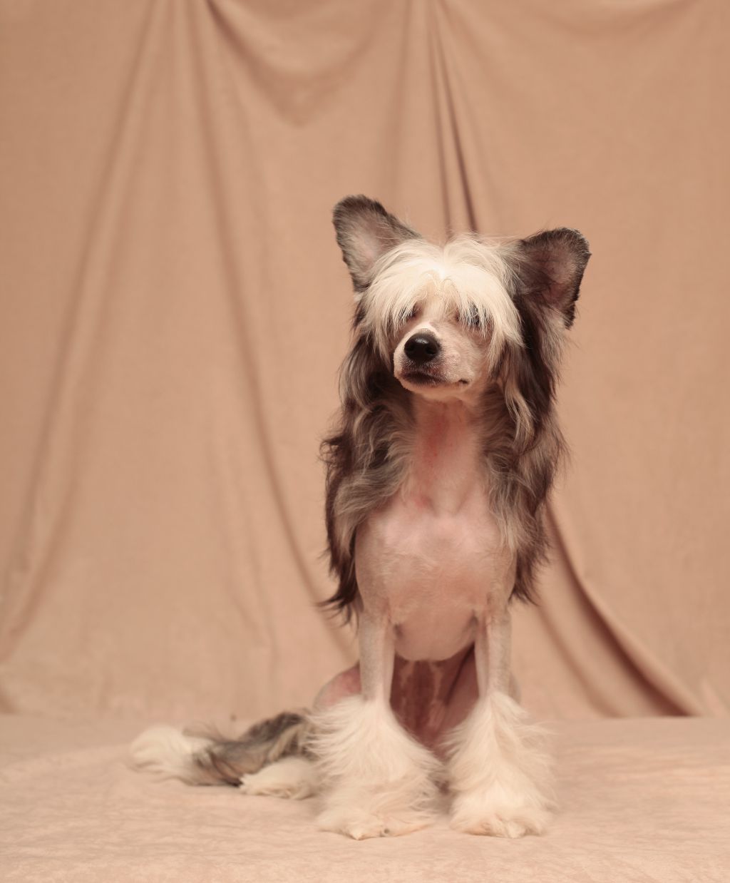 Narnia magic desires