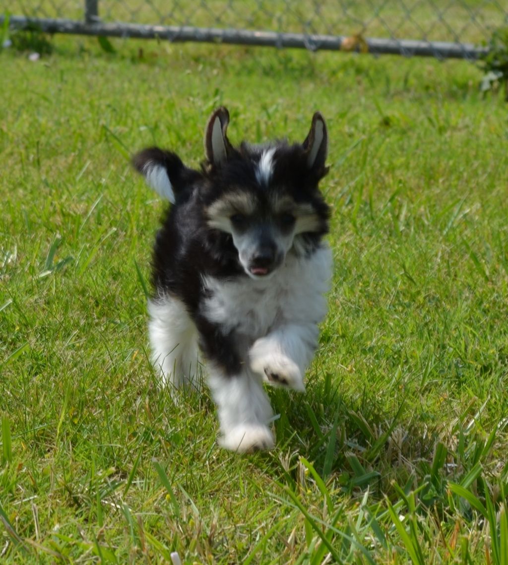 Delende 4-Reil Pray For Me