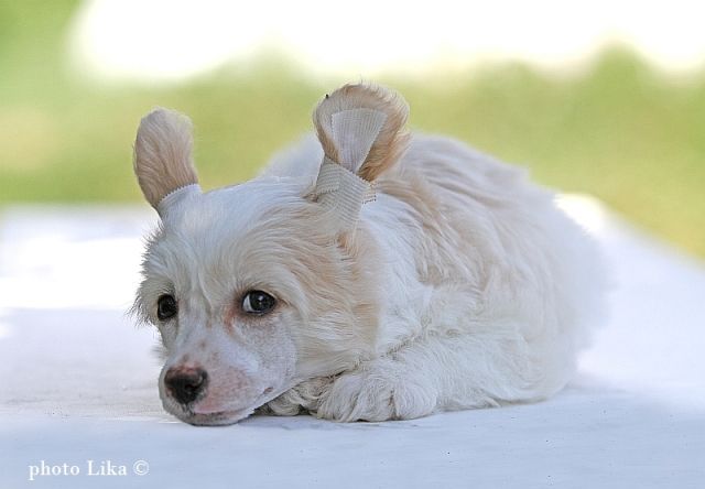 Avgusteyshay Osoba Femely Mars