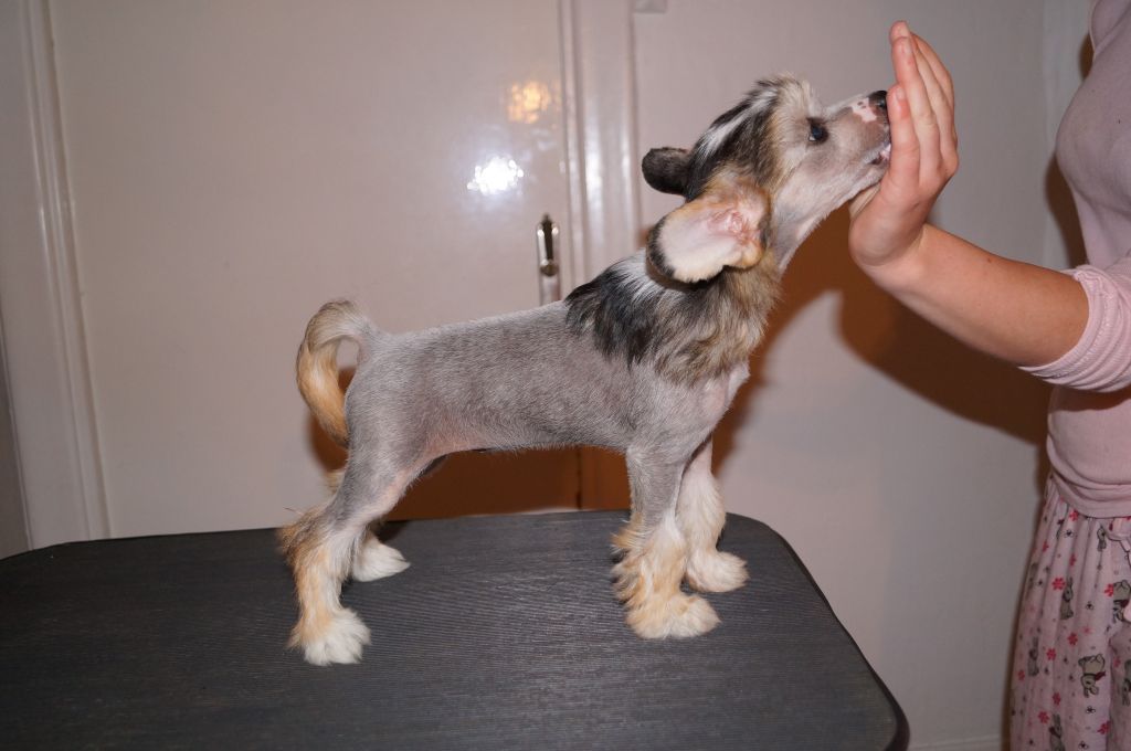 Miakoda's Model For Loreal Paris