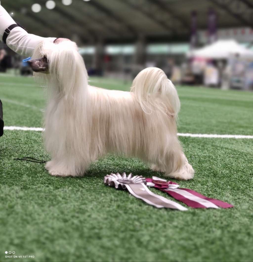 Miakoda's Lipstick on my collar