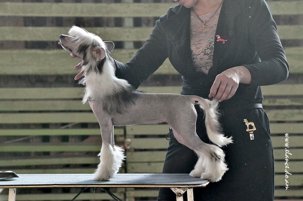 Etrenn De Chance Afina