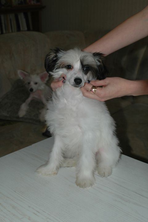 Erosha Katsu Aleksa's House