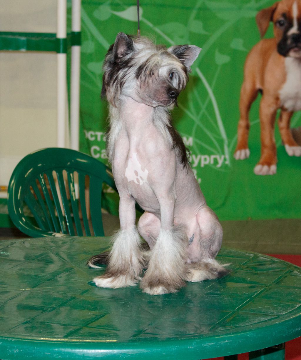 Vernisazh Mari Jack Black Briliant