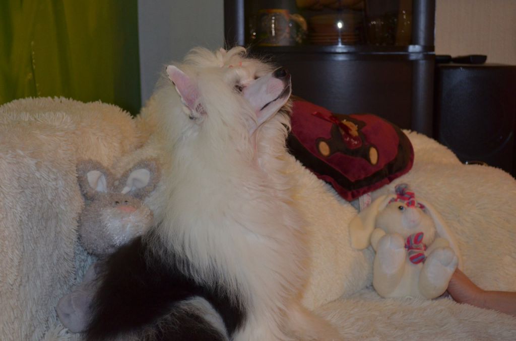 Fiery Fame De KutuzOff