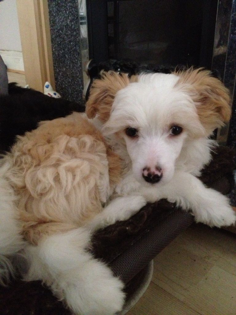 Myglees Man In the Mirror