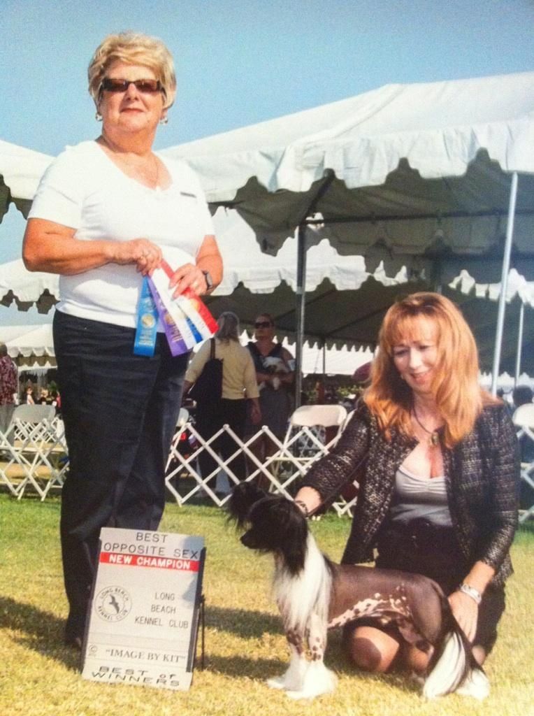 Les-Lee's N'Pentastar's Grind'n Gears