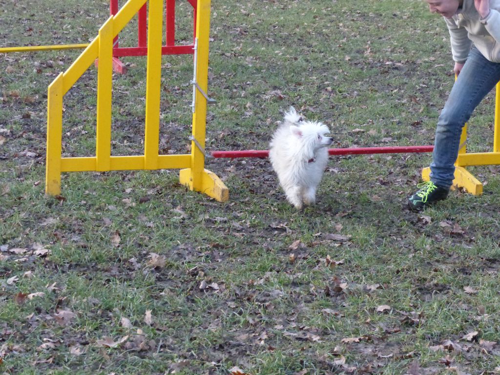 Eden's Garden Irresistible Isabella