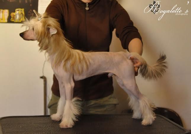 Amtietam's Eternal Flame