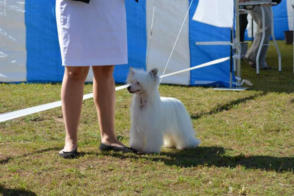 Viuvaun Syypää Sun Hymyyn