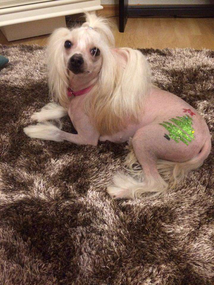 Elance Louange Zhansaya