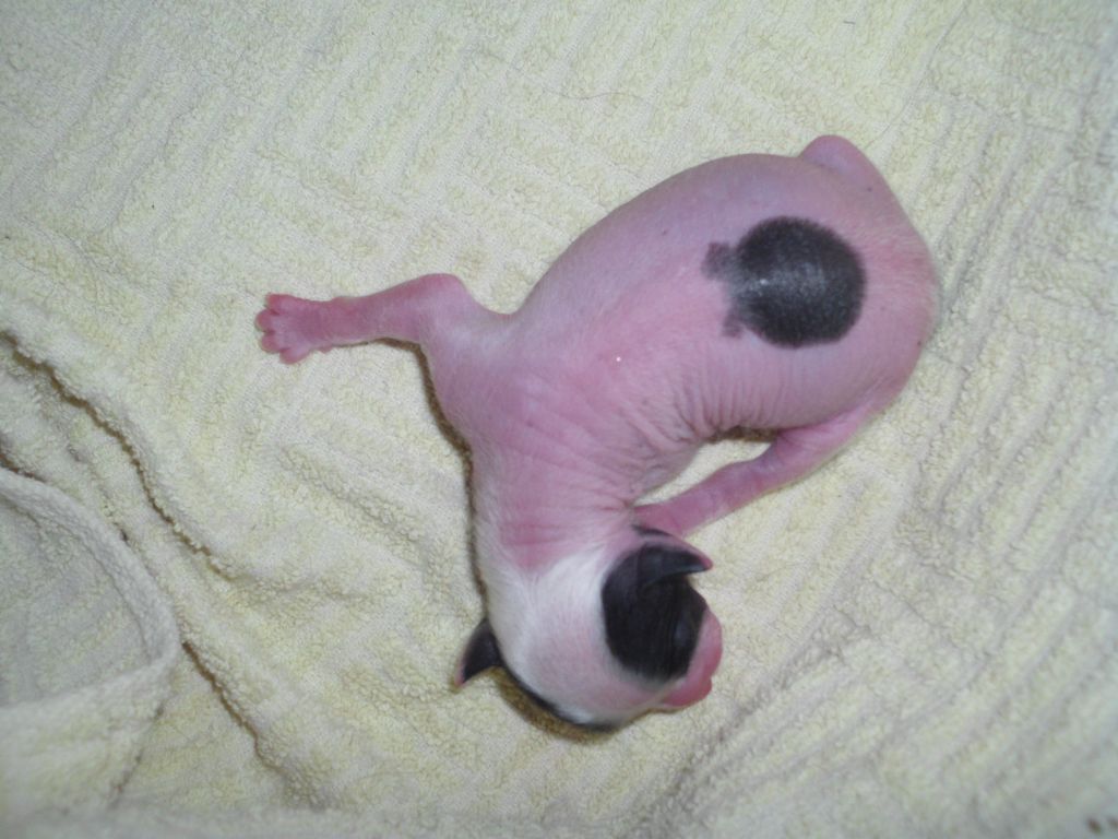 Byron Black&White Border