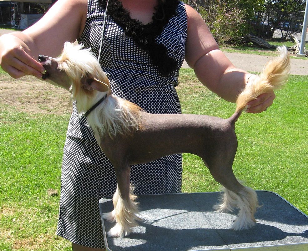 KountryTyme Raise Your Glass With Shida