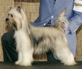 Gingery's Black Pearl