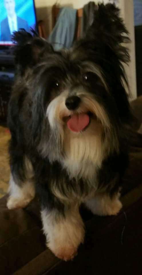 Altacrest N Windwater New Hope