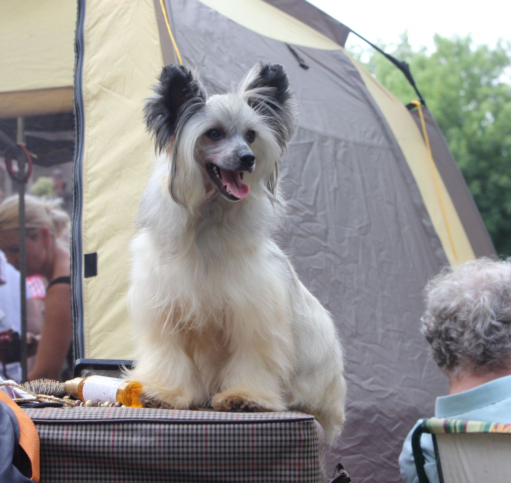 Igraine Queen Malverne