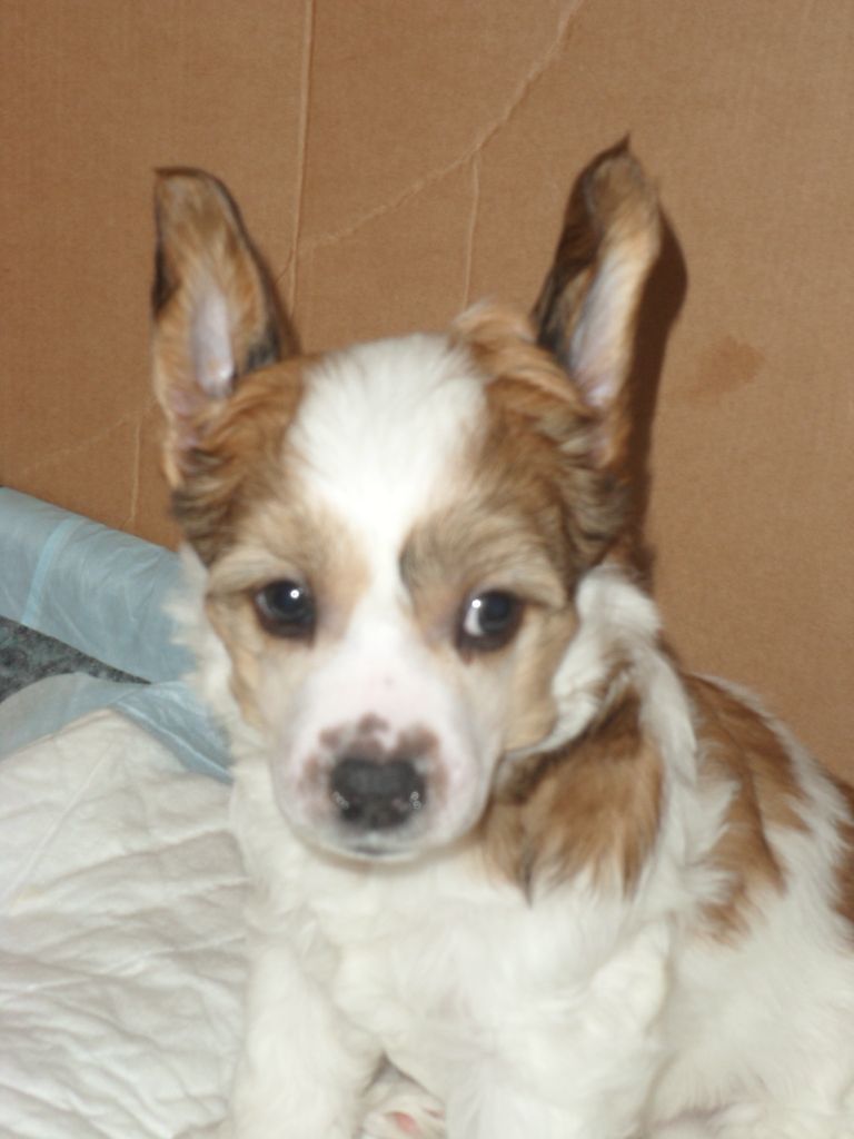 Invisible Is Visible Magma