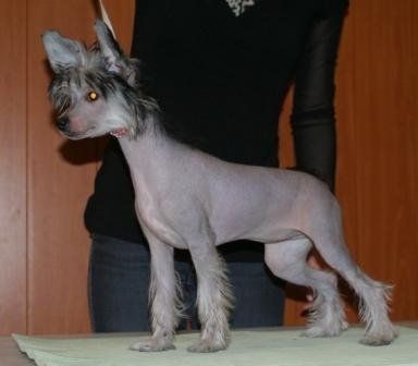 Formula Uspeha s Sayanskih Gor