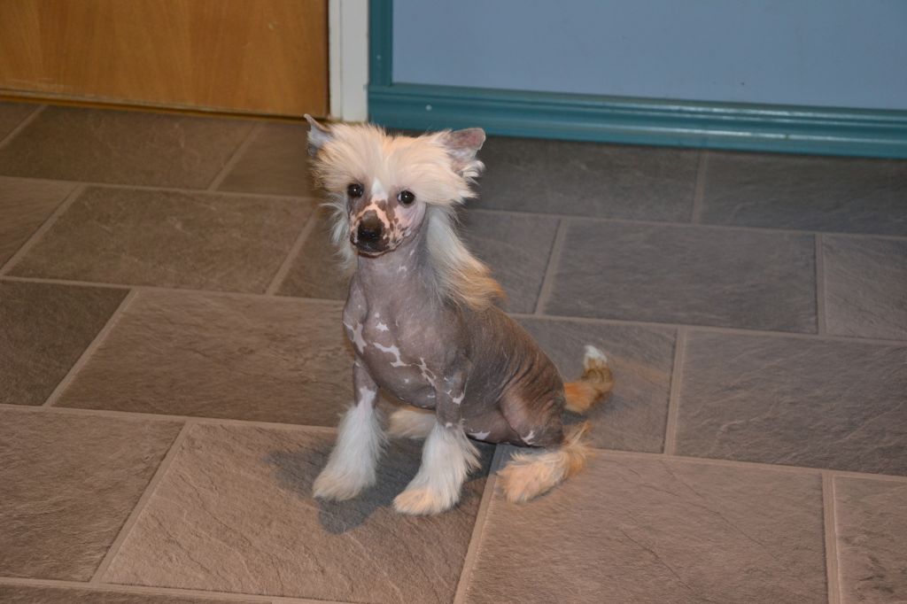 De La Mahafu's J.J. Laritzia