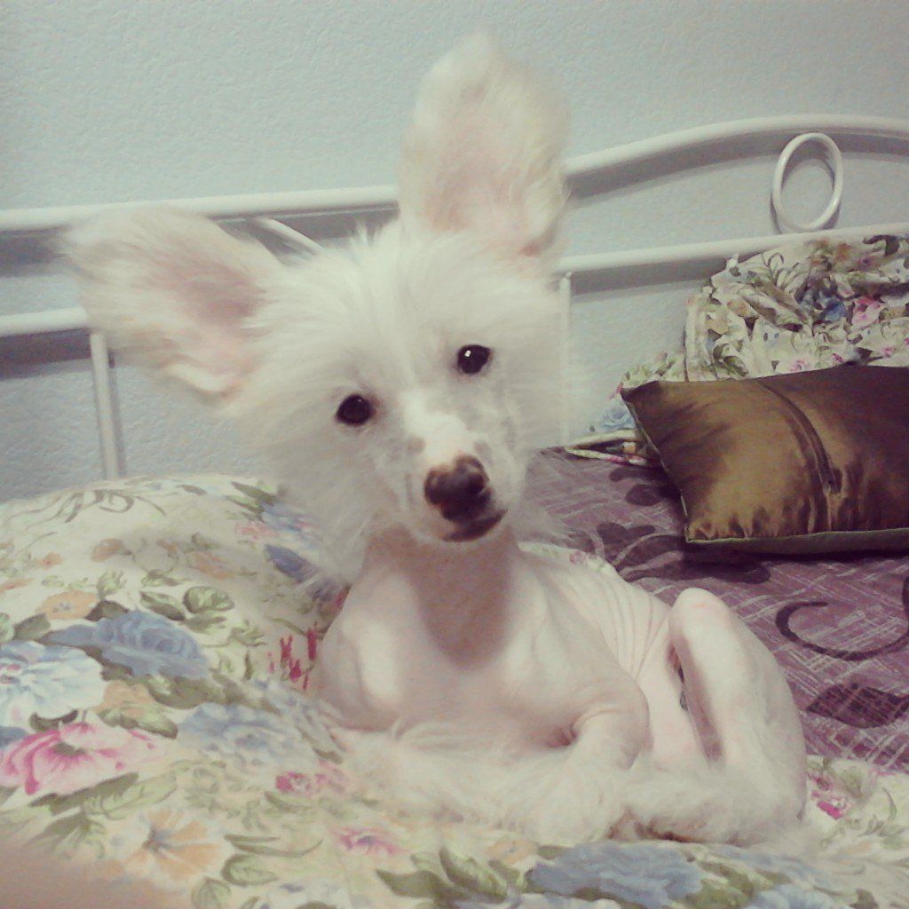 Yanirabeloslava Yasno Solnyshko