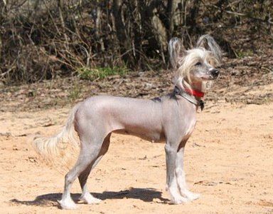 Esalina Muzika Vetra