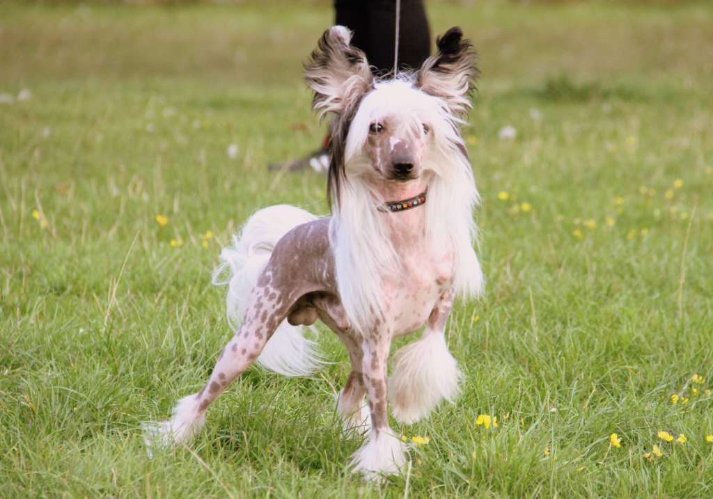 Melanies Rerity Favorit