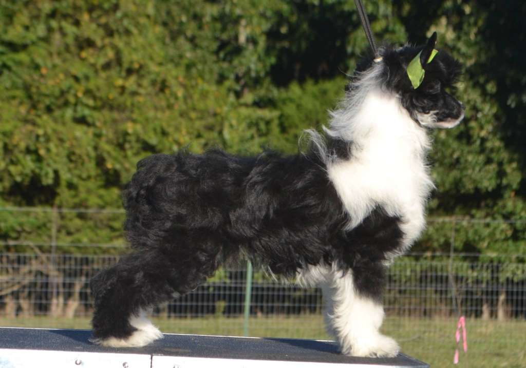 Whispering Lane This'll Makeya Slap Yo Mama