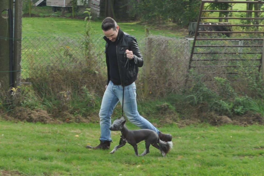 Lewis Born to Be the Best