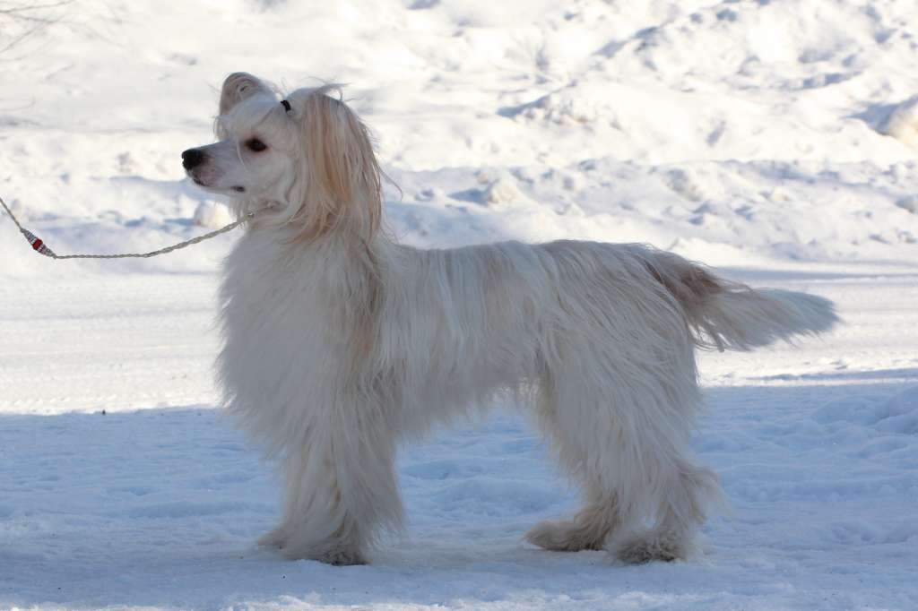 Maybell's Red Rocks The Block