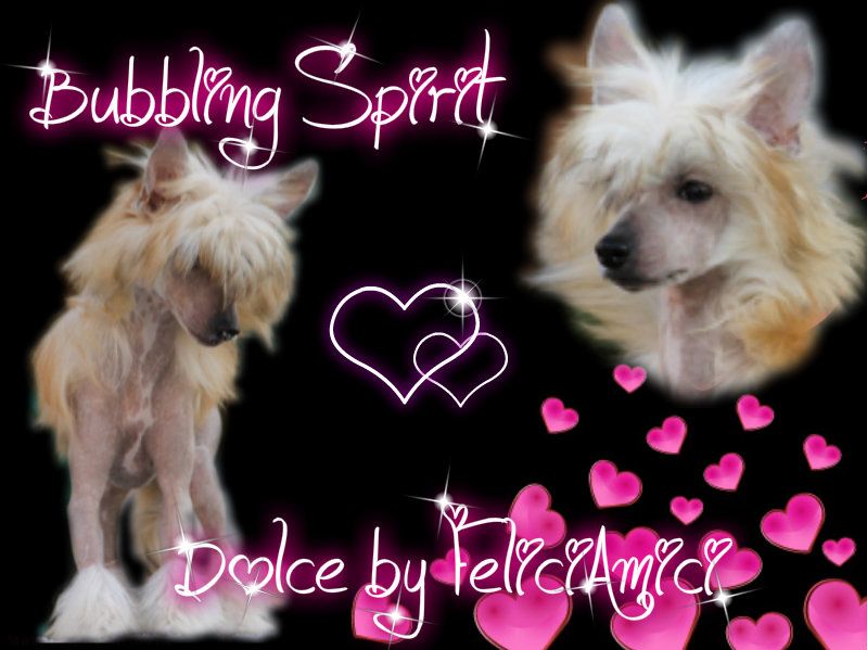 Bubbling Spirit Dolce by Felici Amici