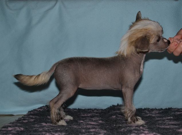 Fiabella's Only For Me