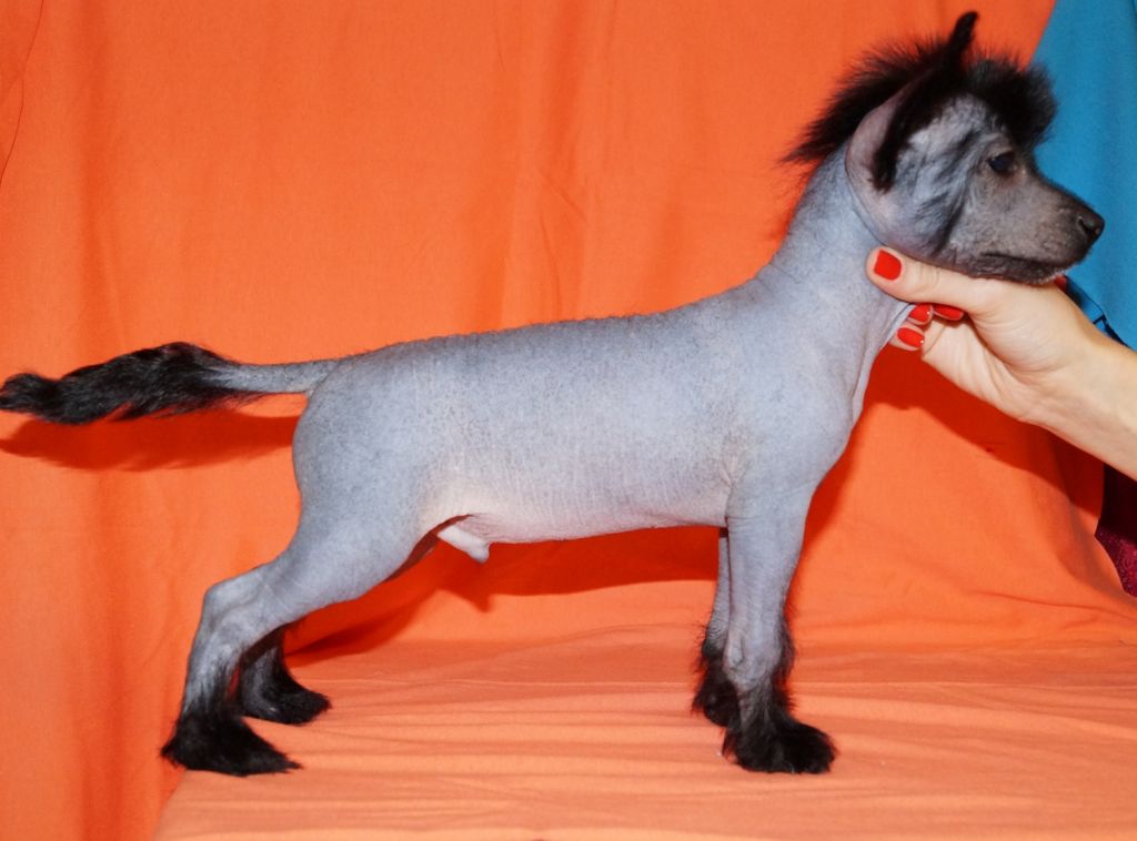 Rus Lorens Fantasy Story