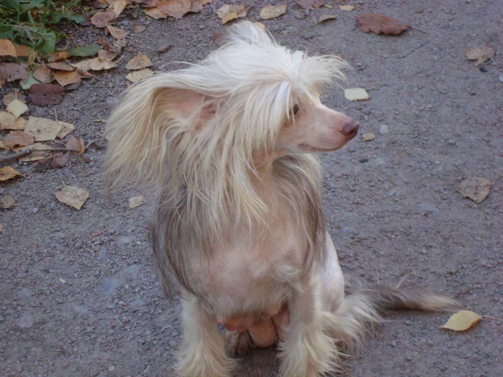 Eugene wondrous Fantasy