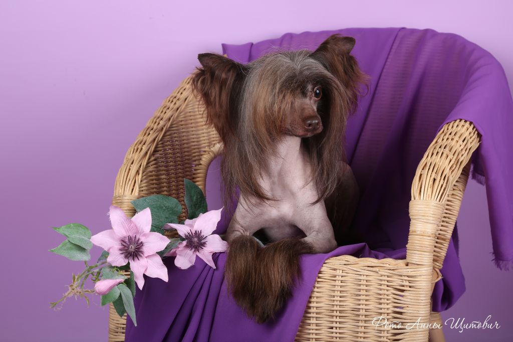 Misteriia Liubvi Avgustin