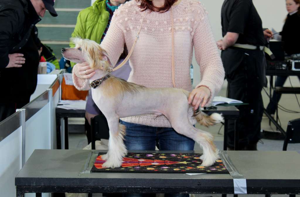 Sofiris Show Alter Ego de Palmer