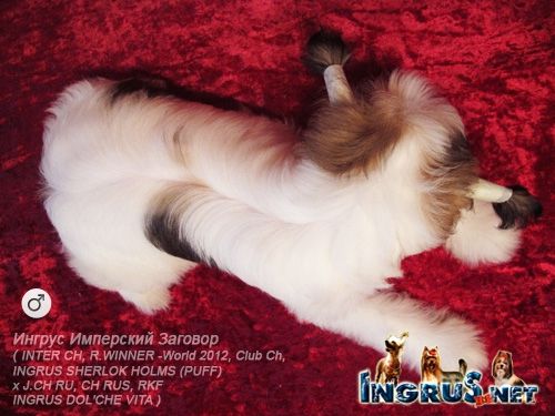 Ingrus Imperskii Zagovor