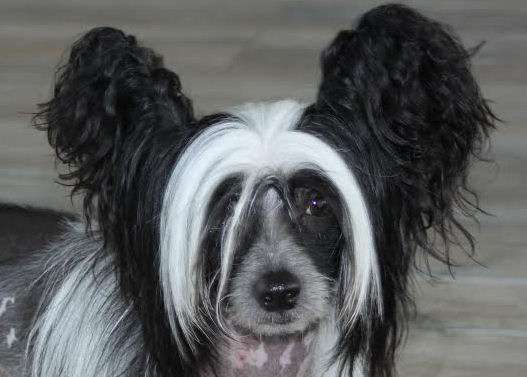 Killing me Softly Little Charmings.