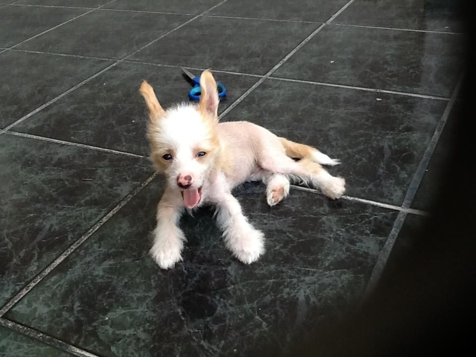 Stvetlana Tasaro Silva