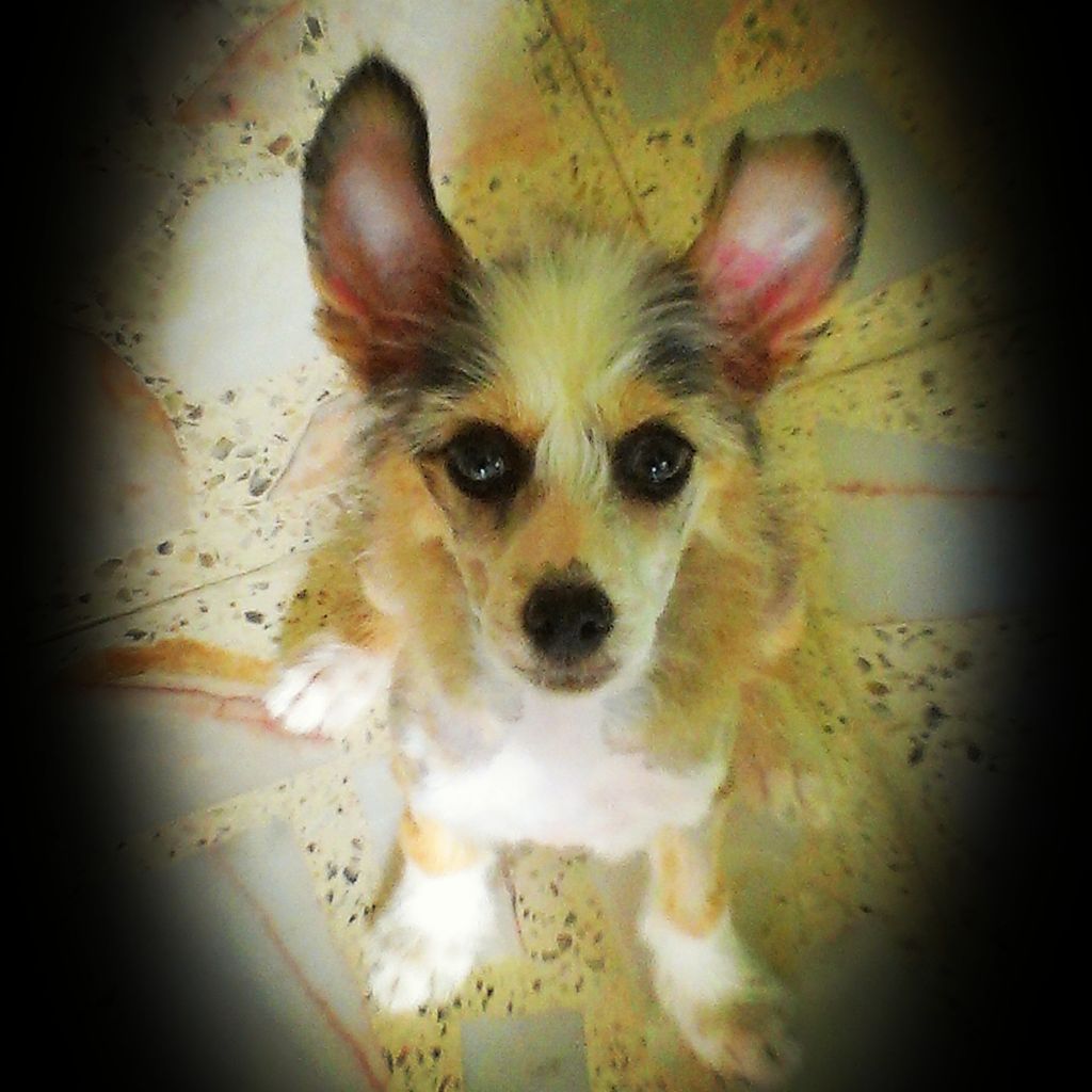 Esteban Tasaro Silva