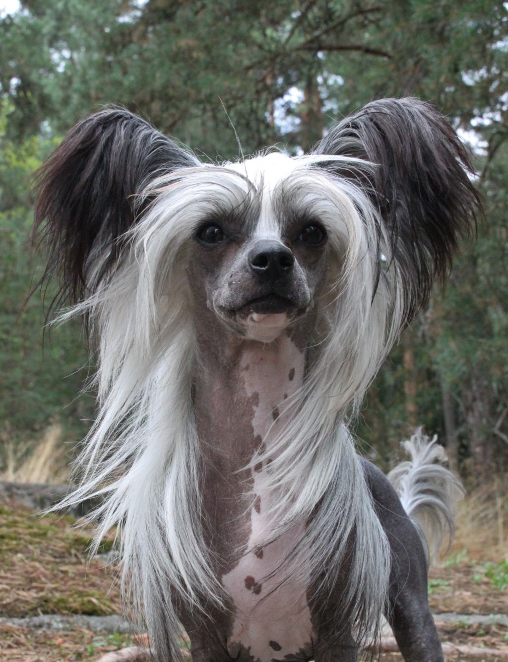 Bryelis The Naked Truth