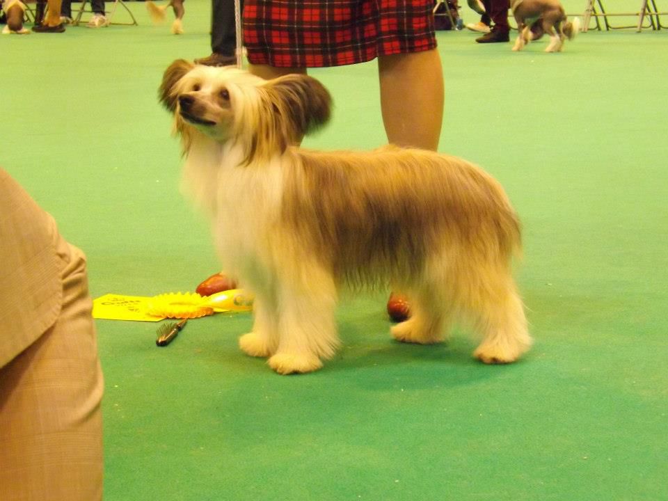 Bryelis In The Line Of Fire