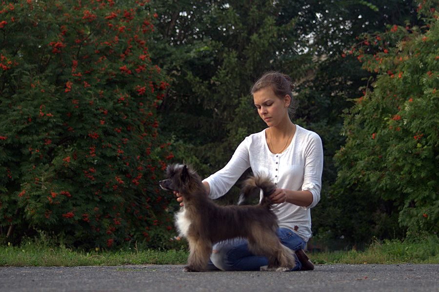 Kranar Battery Included