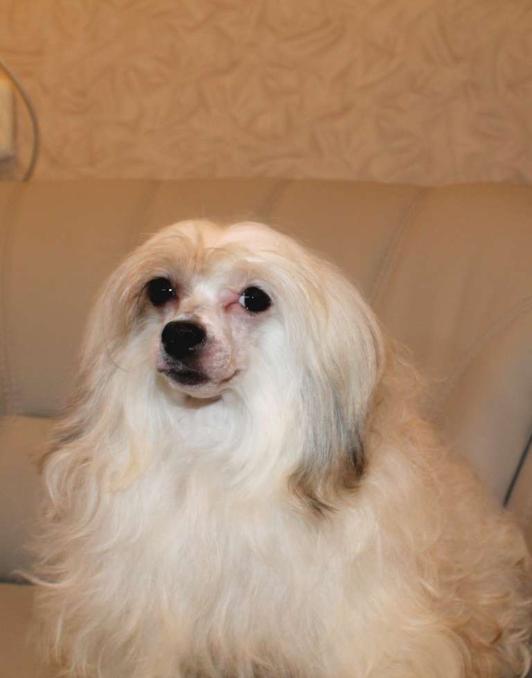 Magnet Success Galaxy Colors