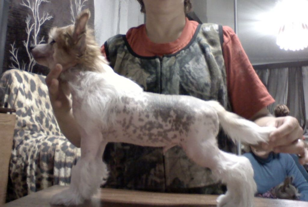 Oniks Iz Strany Kutha