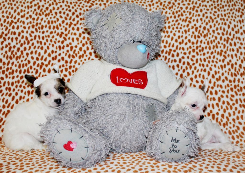 Khelena  Bonam  Karter