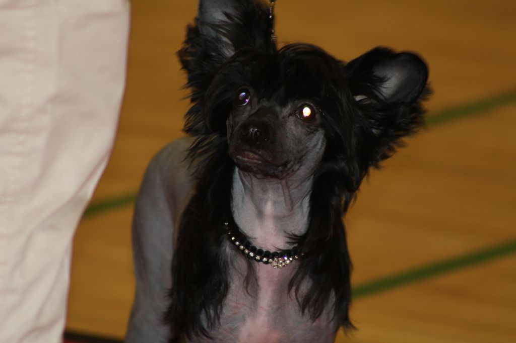 Hottie Tots Born to do it