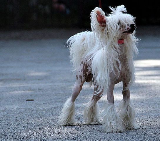 Happy Ren William Arthur Philip Louis