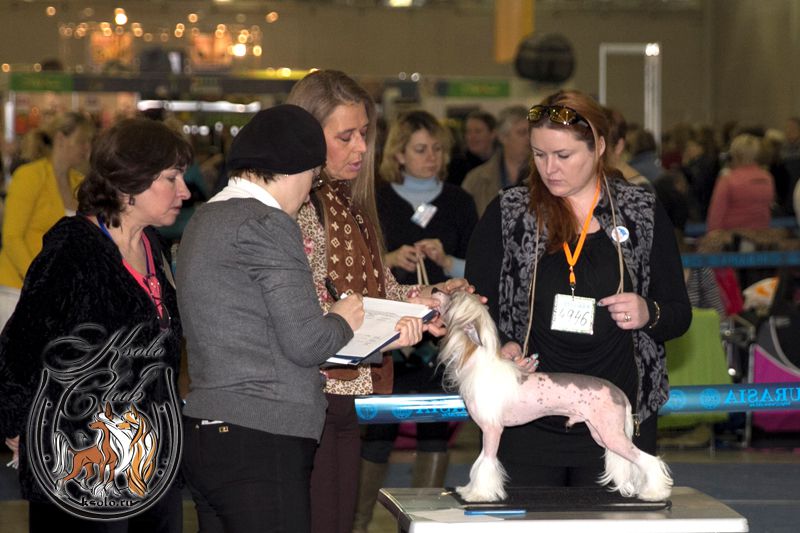 Ksolo Club Zhan-Pol Leonardo