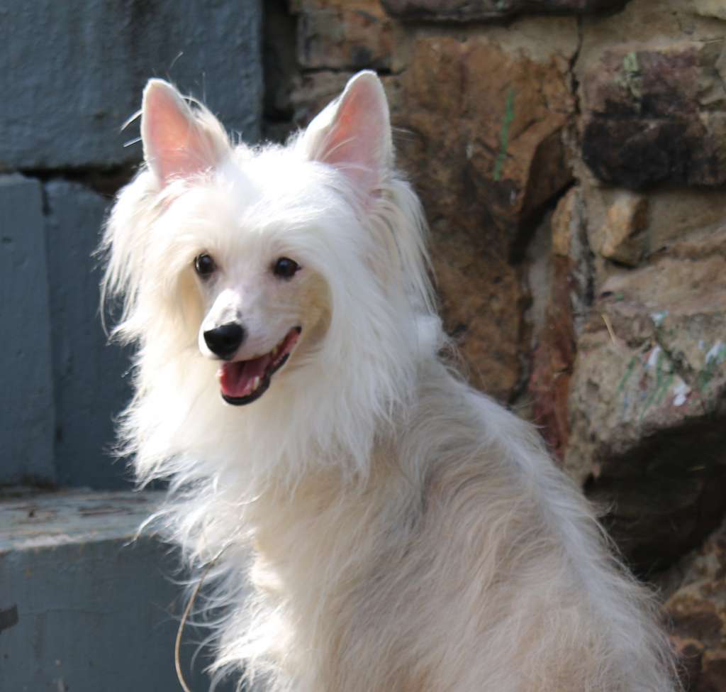 They see me Rolling Di China Latina CA RATN